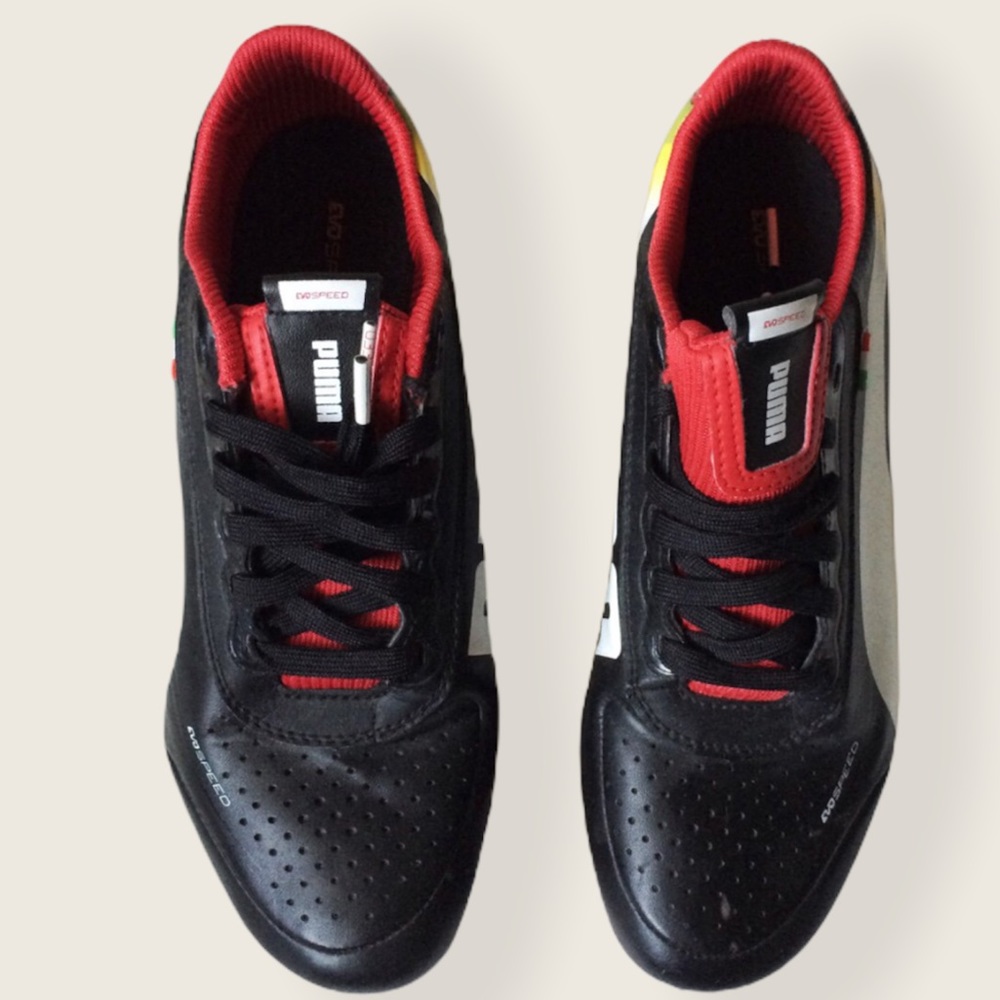 Puma ferrari shoes